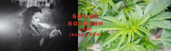 марихуана Белокуриха