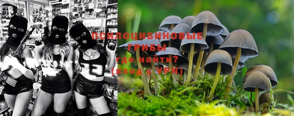 ГАЛЛЮЦИНОГЕННЫЕ ГРИБЫ Беломорск