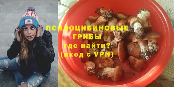 ГАЛЛЮЦИНОГЕННЫЕ ГРИБЫ Беломорск