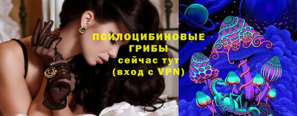 ГАЛЛЮЦИНОГЕННЫЕ ГРИБЫ Беломорск