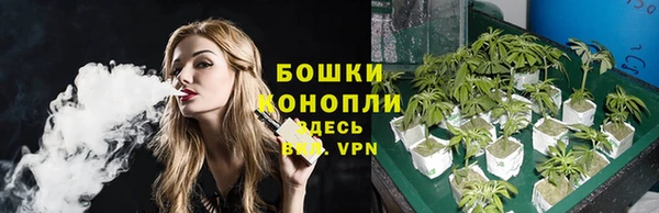 ГАЛЛЮЦИНОГЕННЫЕ ГРИБЫ Беломорск