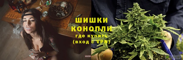 марихуана Белокуриха
