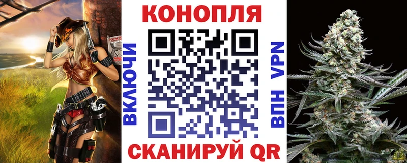 сколько стоит  Вязники  Канабис планчик 